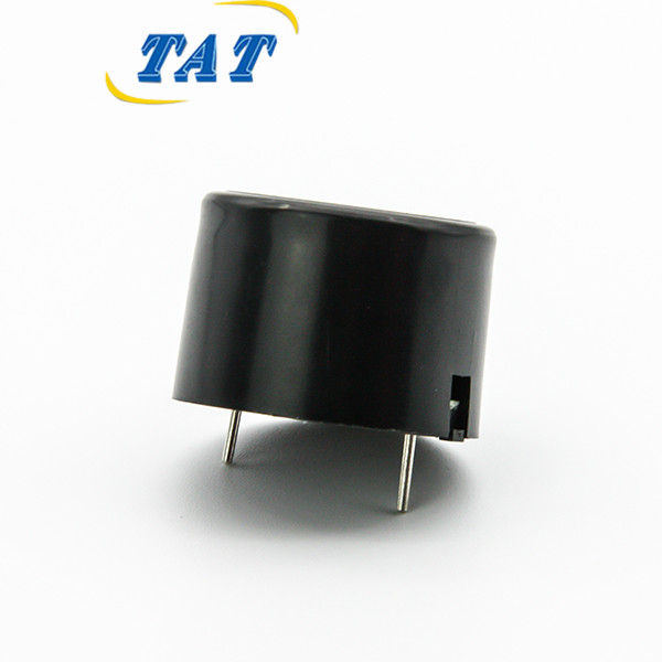 BPC2316-2431 24V High Power Piezo Buzzer 23*16mm 3100Hz Built-in Circuit Piezo Buzzer for Alarm Systems