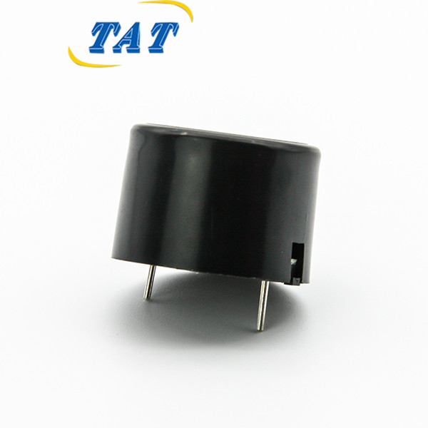 BPC2316-2431 24V High Power Piezo Buzzer 23*16mm 3100Hz Built-in Circuit Piezo Buzzer for Alarm Systems