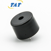 BPC2316-2431 24V High Power Piezo Buzzer 23*16mm 3100Hz Built-in Circuit Piezo Buzzer for Alarm Systems