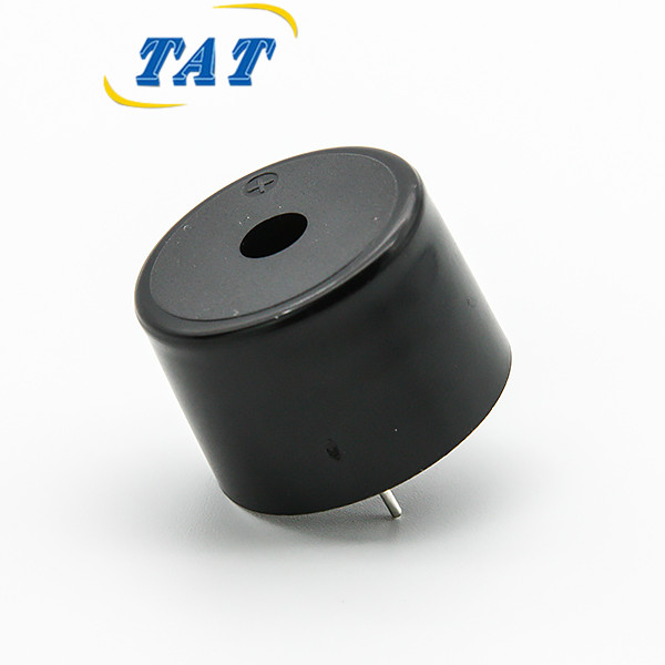 BPC2316-2431 24V High Power Piezo Buzzer 23*16mm 3100Hz Built-in Circuit Piezo Buzzer for Alarm Systems